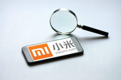 小米強化隱私保護(hù)與信息安全 第一優(yōu)先級的戰(zhàn)略抉擇
